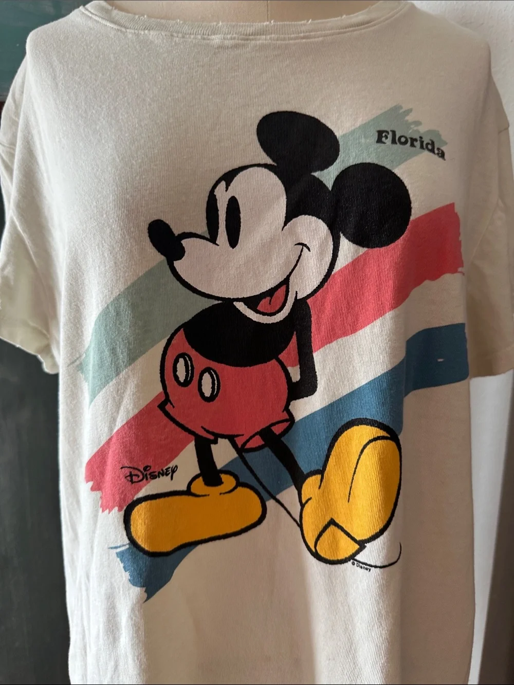 Junk Food Americana Florida Mickey Disney Tshirt - Picture 3 of 7